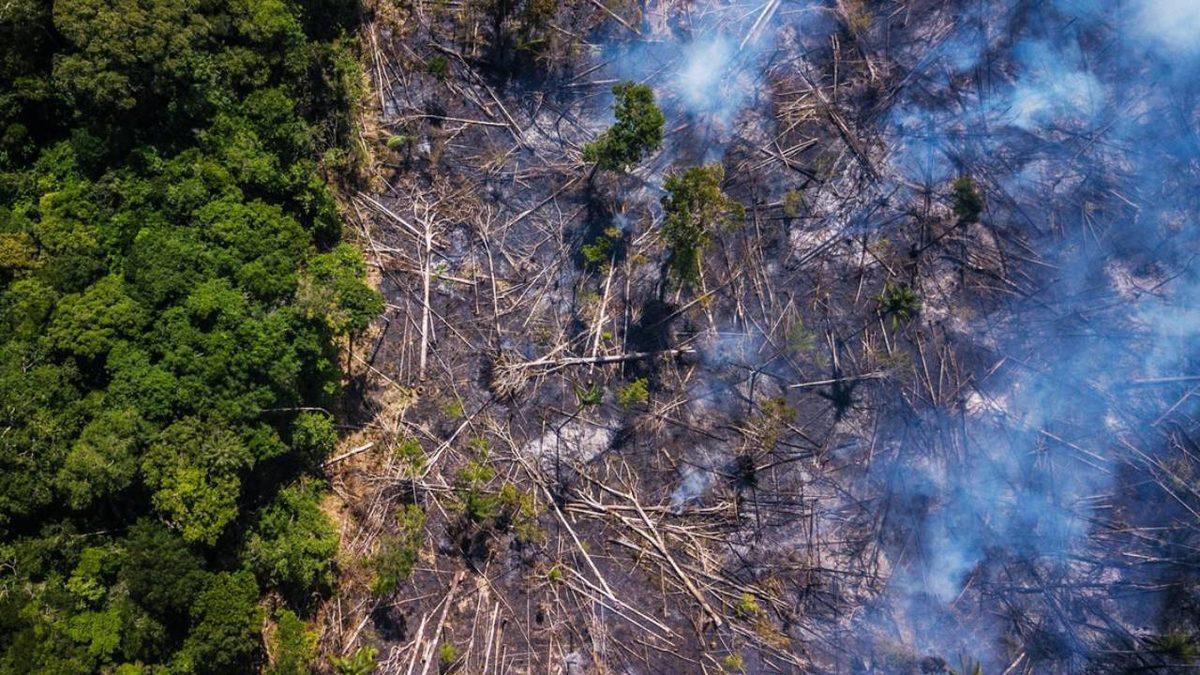 Uluslararası Doğayı Koruma Birliği’nden Önemli Karar: Dünya’nın %30’u, Amazonların %80’i Koruma Alanı İlan Edildi