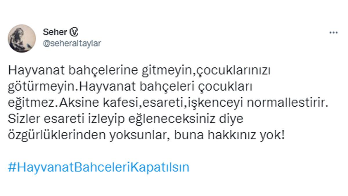 İntihara Kalkışan Balina ve Doğa Görmemiş Ayı Videolarına Sosyal Medyadan Tepki Yağdı: #HayvanatBahceleriKapatılsın