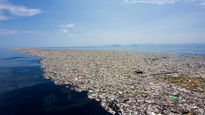 Kanada’da Araştırmacılar Balık Atıklarından Plastik Üretmeyi Başardı