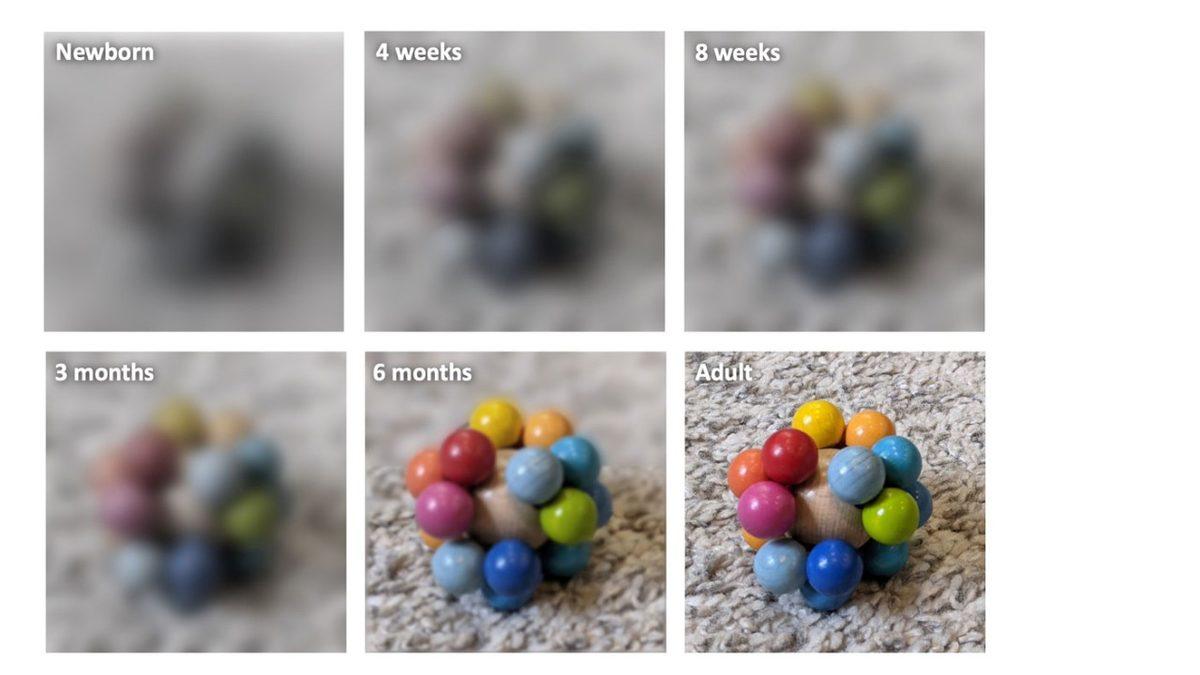 Bir Saniyesini Bile Hatırlamadığımız Bebeklik Döneminde Dünyayı Nasıl Görüyorduk? [Video]