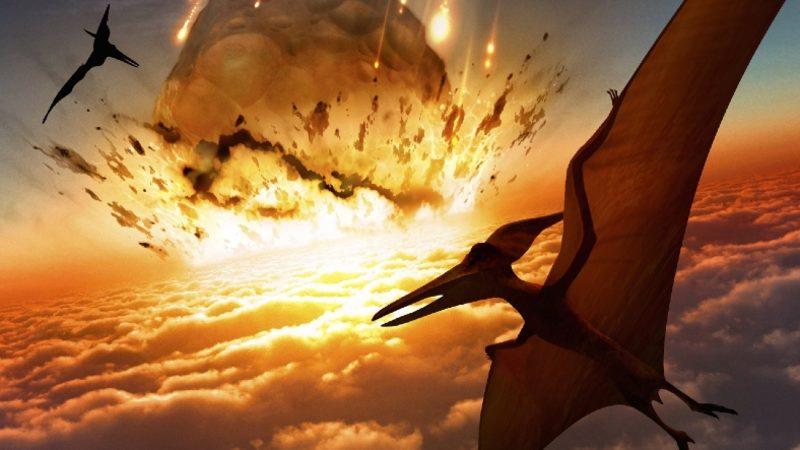 Bilim İnsanları, Şili’de ’Uçan Ejderha’ Olarak Bilinen Bir Dinozora Ait Kanıtlar Buldu