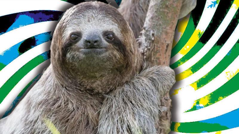 Görünüşü ve Özellikleriyle Dünyanın En İlginç 7 Hayvanı: Aralarında Uçamayan Bir Papağan da Var!