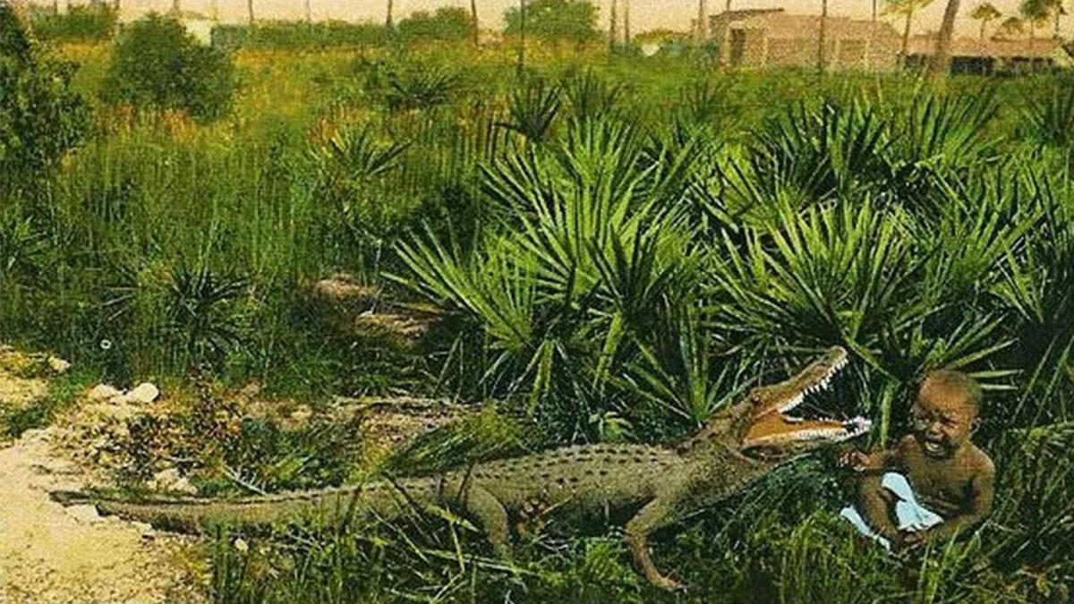 Bir Zamanlar Siyahi Bebeklerin Timsah Avlamak İçin Yem Olarak Kullanıldığını Biliyor muydunuz?