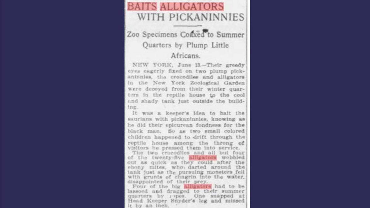 Bir Zamanlar Siyahi Bebeklerin Timsah Avlamak İçin Yem Olarak Kullanıldığını Biliyor muydunuz?