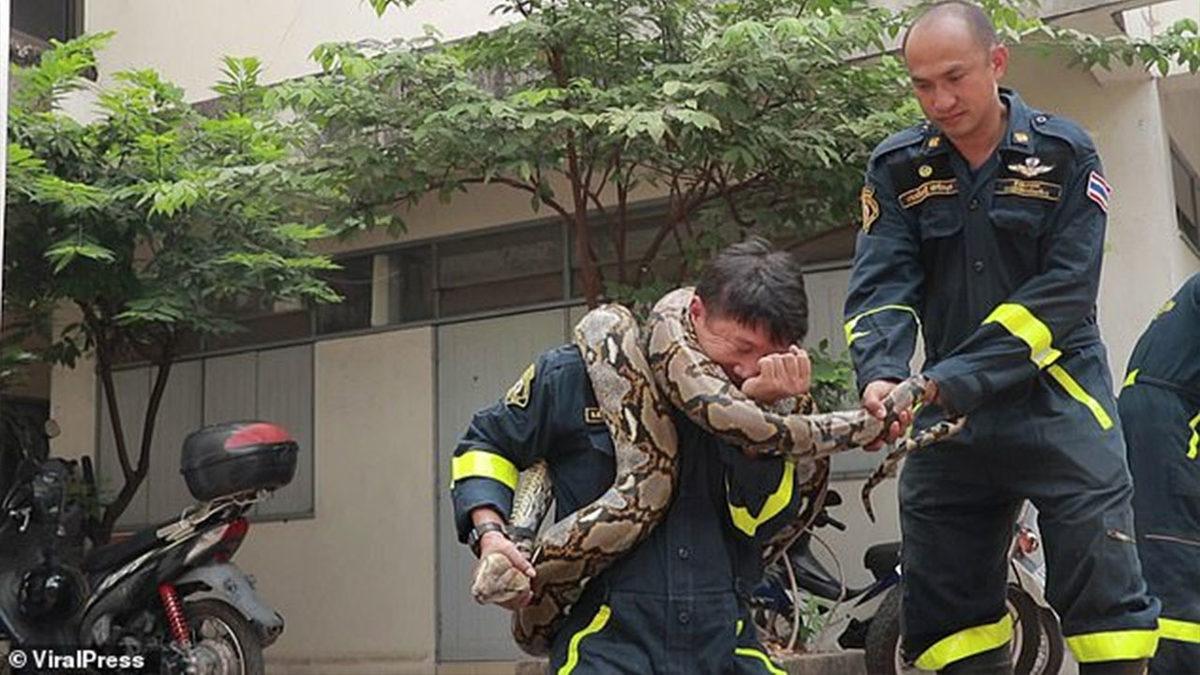 Vücudunuza Sarılıp Sizi Boğmaya Çalışan Bir Yılandan Nasıl Kurtulabilirsiniz?