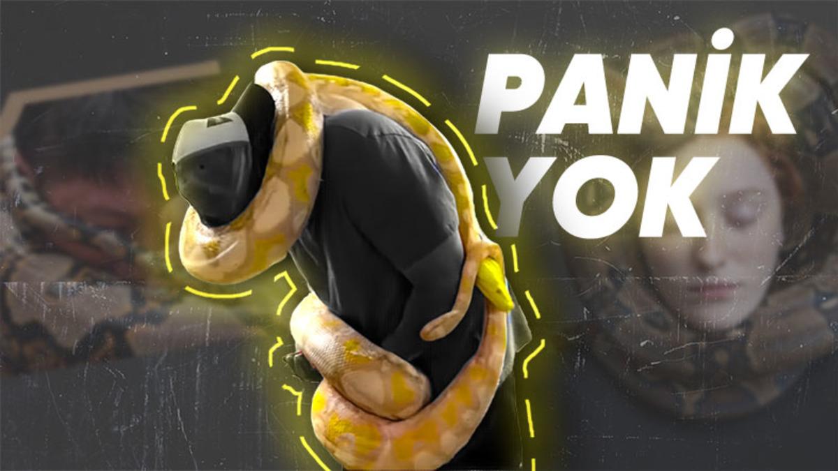 Vücudunuza Sarılıp Sizi Boğmaya Çalışan Bir Yılandan Nasıl Kurtulabilirsiniz?