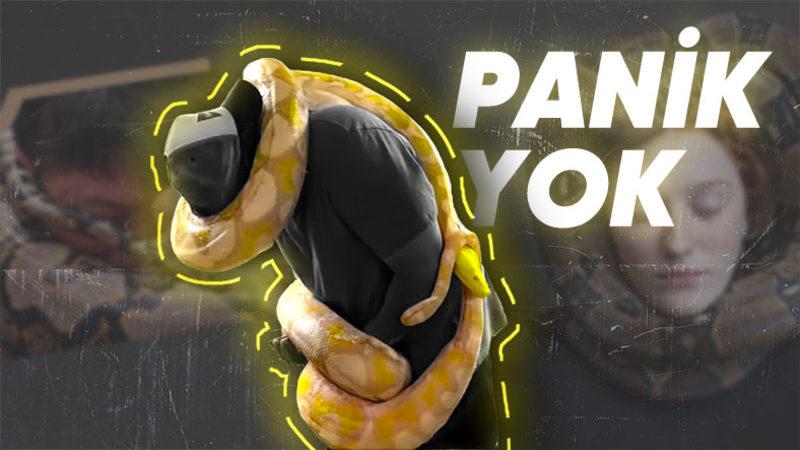 Vücudunuza Sarılıp Sizi Boğmaya Çalışan Bir Yılandan Nasıl Kurtulabilirsiniz?