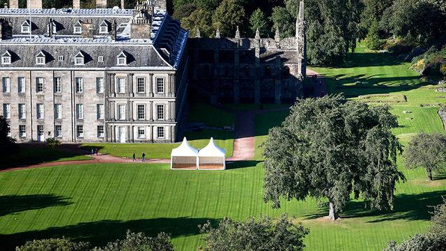 Soyu Tükendiği Sanılan Ağaç Kraliçe’nin Bahçesindeymiş