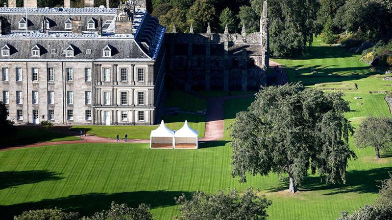 Soyu Tükendiği Sanılan Ağaç Kraliçe’nin Bahçesindeymiş