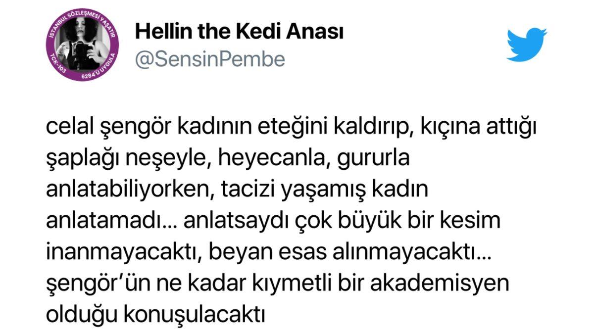 Celal Şengör Taciz Anısını Anlattı, Sosyal Medyadan Tepki Yağdı:  ’Kıçına Tokat Attım…’