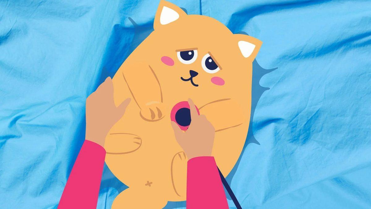 Yaygın Olan Bu Kedi Hastalıklarını Erken Tespit Etmeniz Halinde Dostunuzun Hayatını Kurtarabilirsiniz!