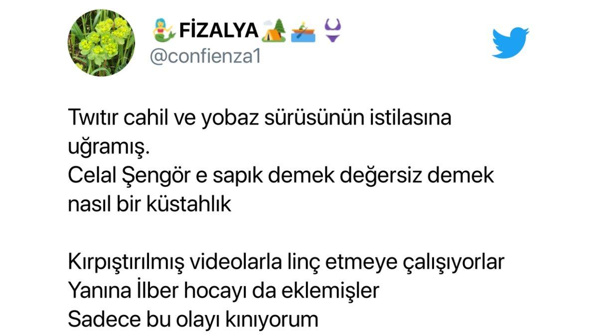 Celal Şengör Taciz Anısını Anlattı, Sosyal Medyadan Tepki Yağdı:  ’Kıçına Tokat Attım…’