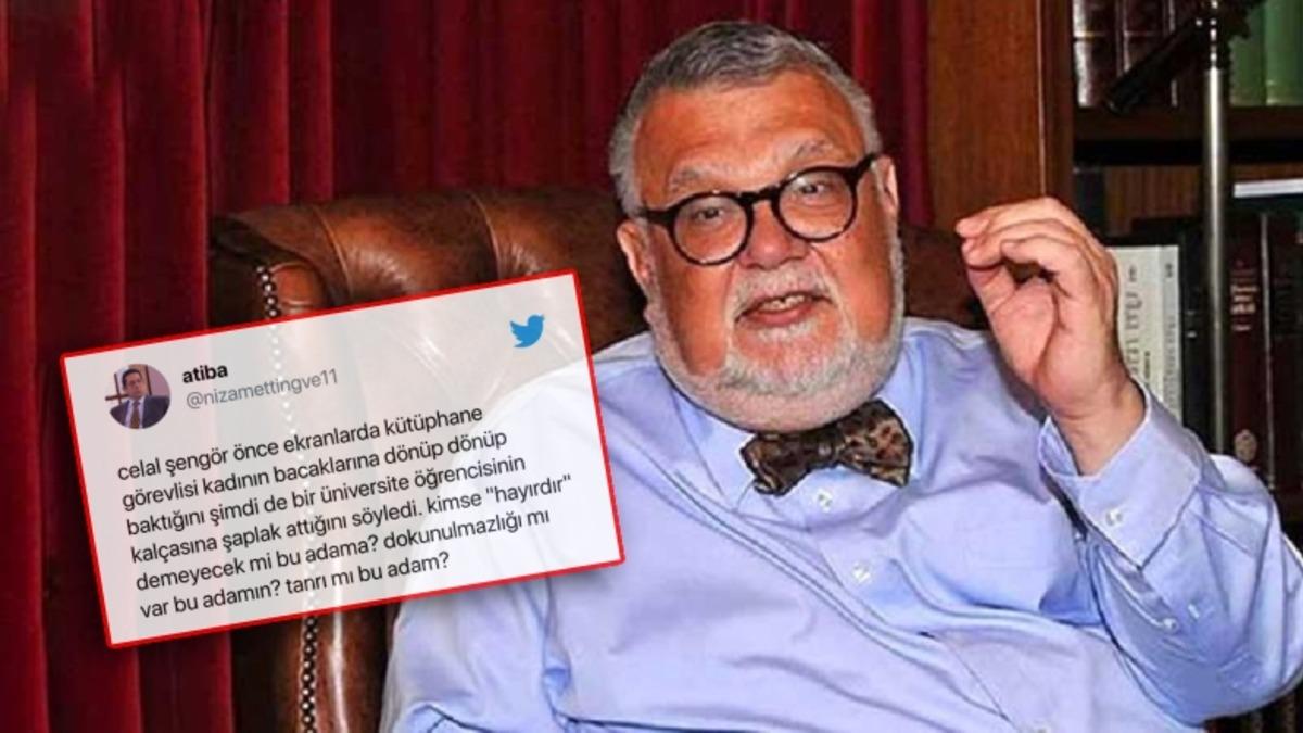Celal Şengör Taciz Anısını Anlattı, Sosyal Medyadan Tepki Yağdı:  ’Kıçına Tokat Attım…’
