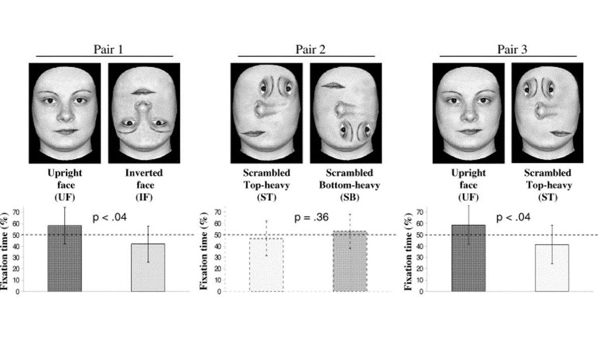 Hiçbir Şeyden Haberi Yokmuş Gibi Görünen Bebeklerin Kafasında Aslında Neler Döndüğünü Gösteren Deney ve İlginç Sonuçları