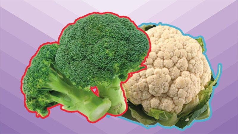 Beslenme Listenize Yazabileceğiniz Kilo Aldırmayan 11 Besin