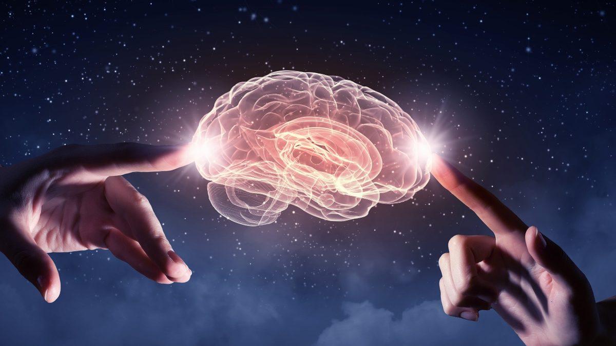 Honda, Daha İyi bir Sürücü Destek Sistemi Geliştirmek İçin Beyin Üzerine Çalışmalar Yapıyor