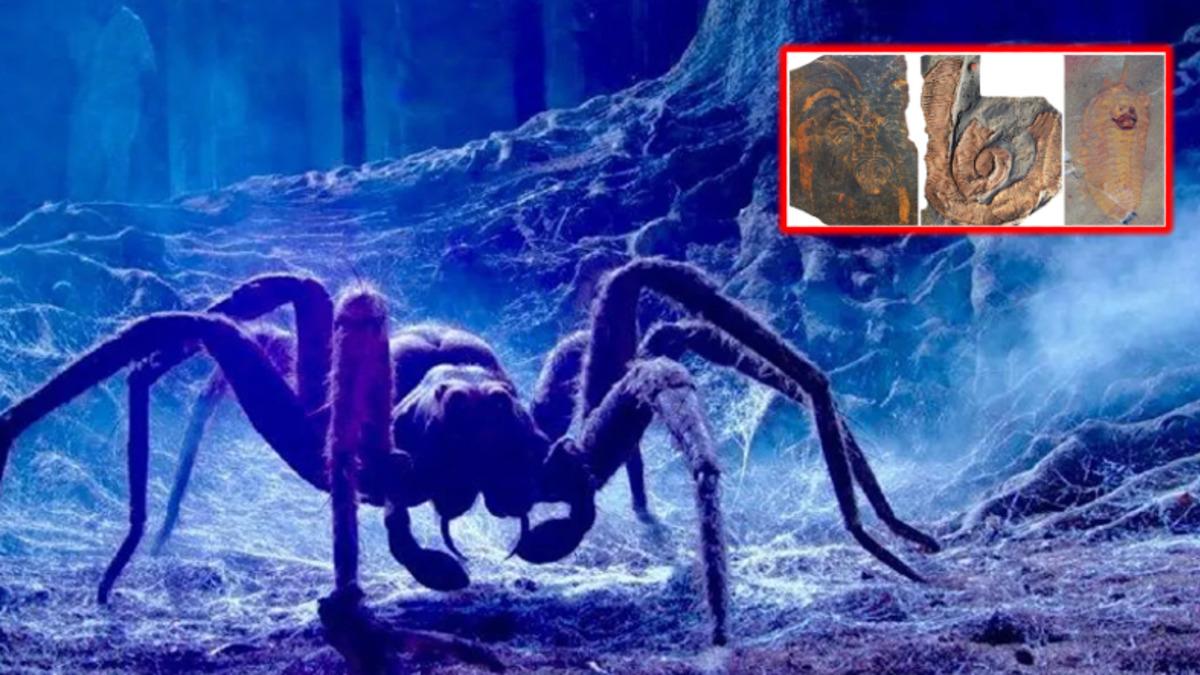 Günümüzdeki Böceklerin Yüz Milyonlarca Yıl Önce Denizlere Hakim Olan Ataları Hakkında Ürküten Keşif: Boyutları 2 Metreye Ulaşıyormuş!
