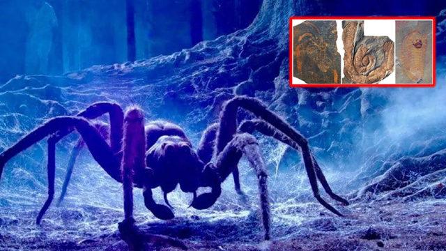 Günümüzdeki Böceklerin Yüz Milyonlarca Yıl Önce Denizlere Hakim Olan Ataları Hakkında Ürküten Keşif: Boyutları 2 Metreye Ulaşıyormuş!