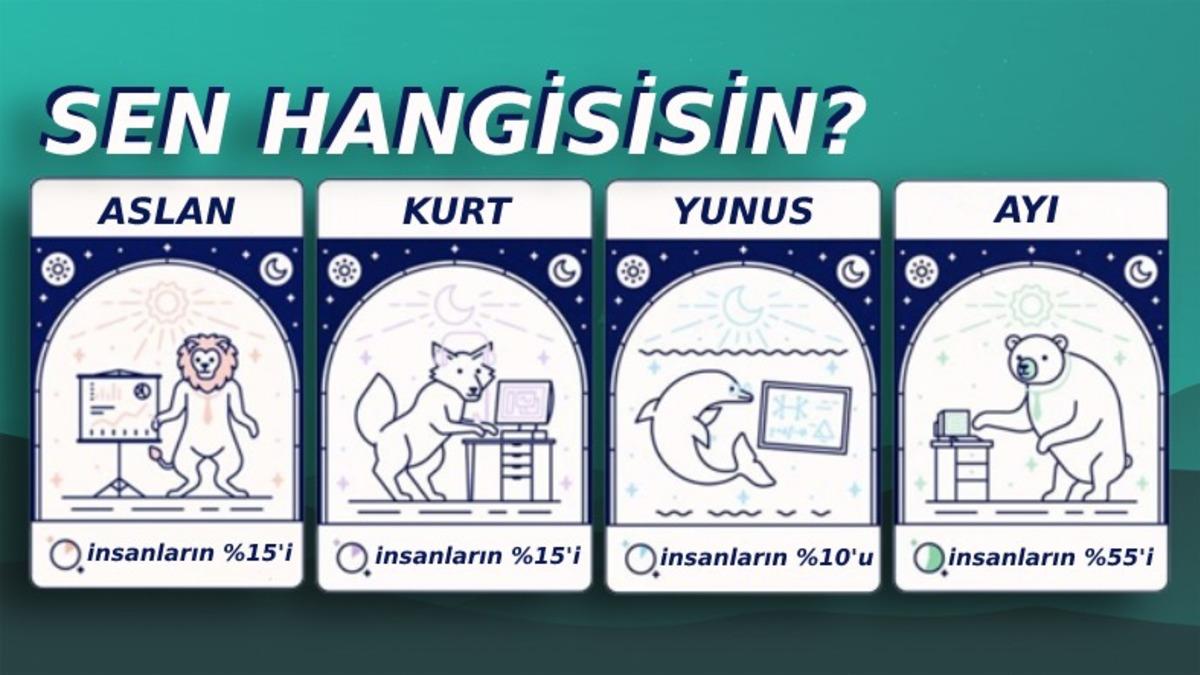 Bu 6 "Uykucu" Tipten Hangisisin? Bilime Göre Tüm Hayatımızı Etkileyen Kronotipleri ve Özelliklerini Açıkladık!