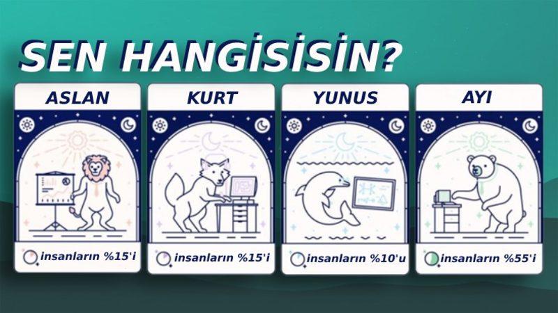 Bu 6 "Uykucu" Tipten Hangisisin? Bilime Göre Tüm Hayatımızı Etkileyen Kronotipleri ve Özelliklerini Açıkladık!