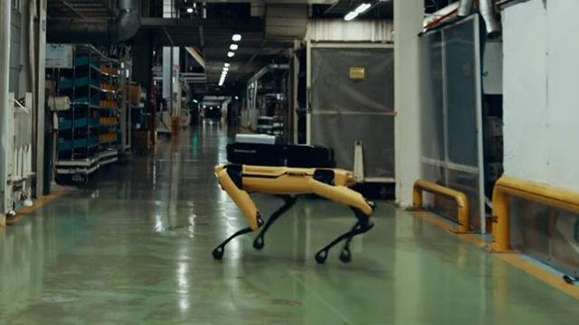 Büyümüş de Güvenlikçi Olmuş: Hyundai, Ünlü Robot Spot’u Bir Güvenlik Görevlisi Olarak Çalıştırmaya Başladı (Video)