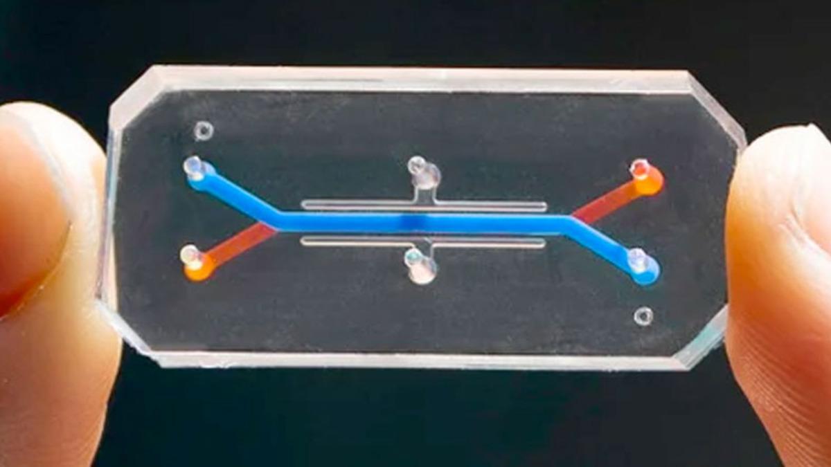 İnsan Vajinasını Taklit Eden Çip Geliştirildi: Peki Ne İşe Yarayacak?