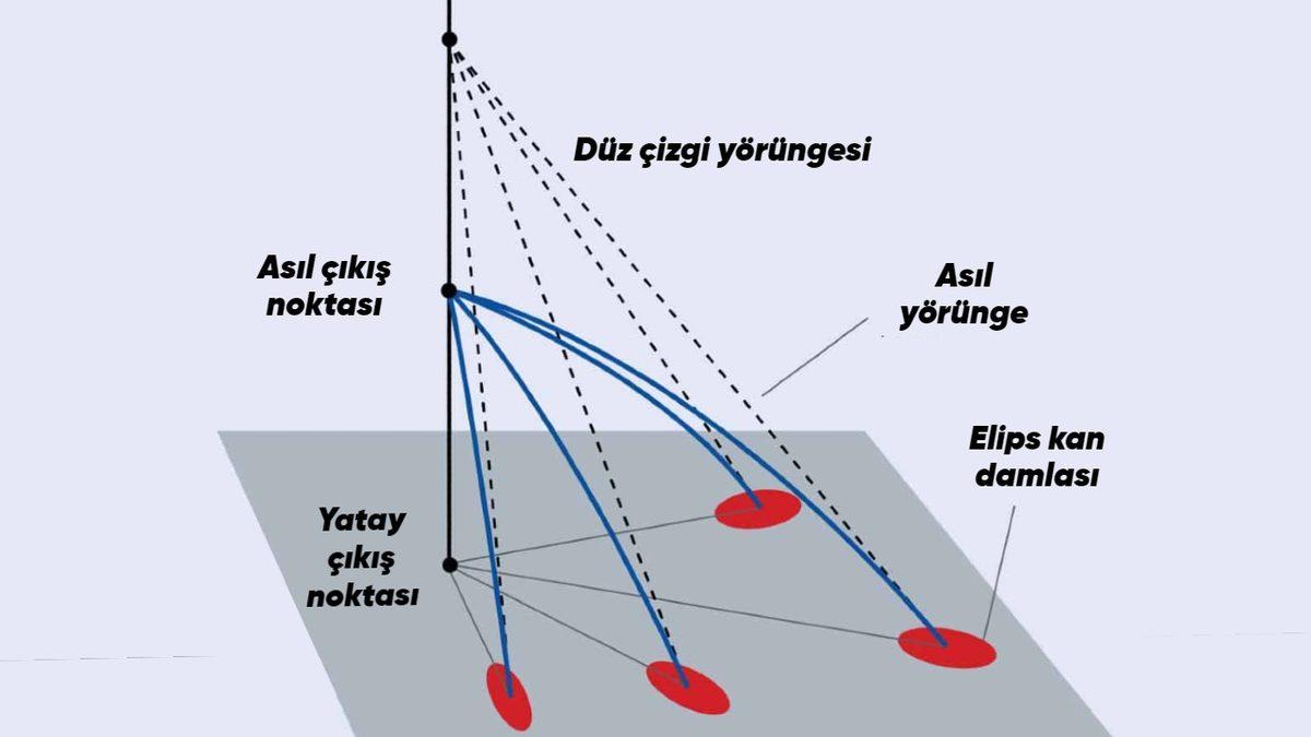 Bazı Cinayetler Bu Şekilde Aydınlatılıyor: Olay Yeri İnceleme Uzmanlarının Kullandığı Matematiksel Yöntemler