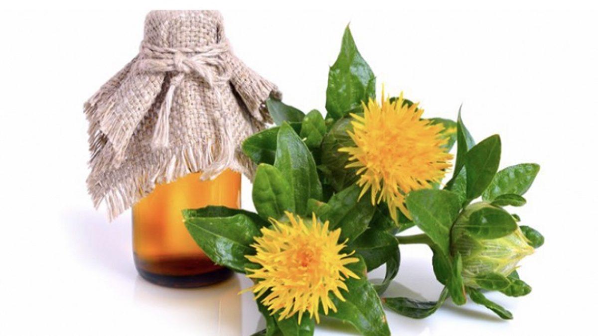 Tarih Öncesi Zamanlarda Bile Tıbbi Amaçla Kullanılan Mucizevi Bitki: Aspir Yağı Nedir, Faydaları Nelerdir?