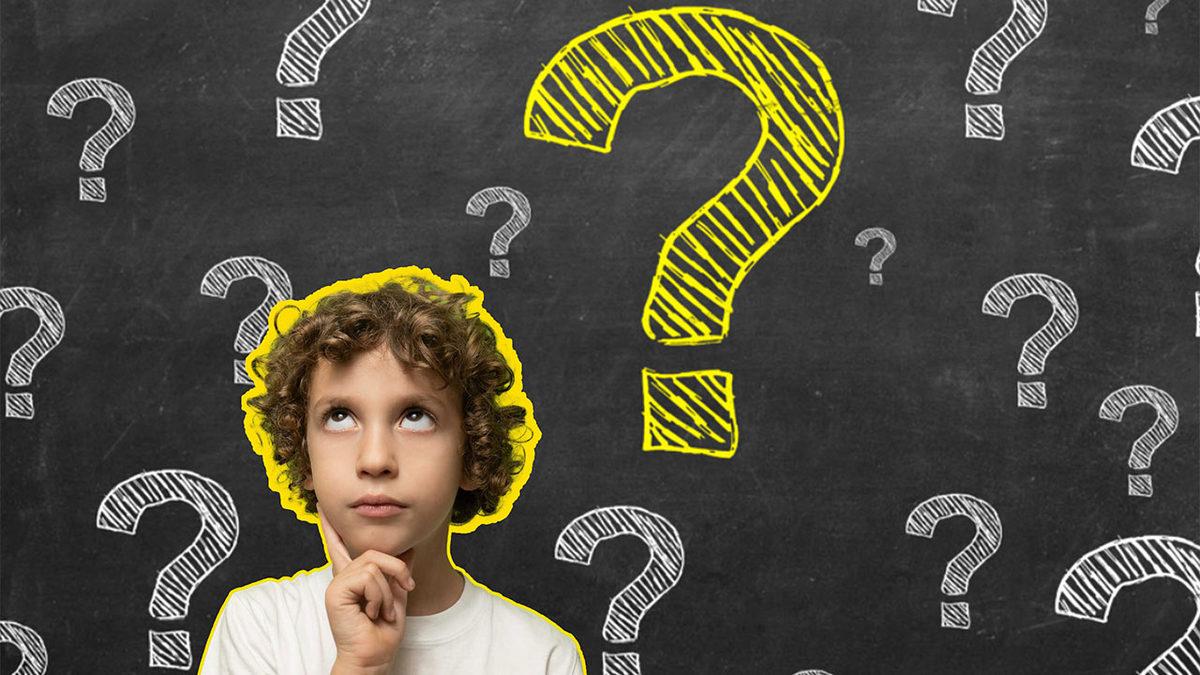 Neden Merak Ettiğimizi Hiç Merak Etmiş miydiniz? Cevap, Hayatı Anlamlandırma Çabamızda Gizli...