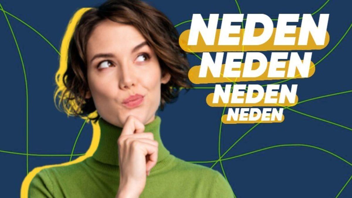 Neden Merak Ettiğimizi Hiç Merak Etmiş miydiniz? Cevap, Hayatı Anlamlandırma Çabamızda Gizli...