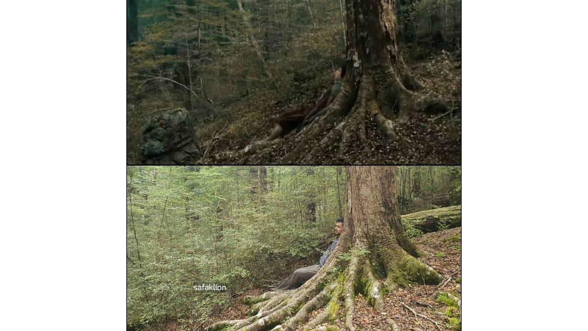Hayallerimizi Yaşayan Biri: Fotoğrafçı Şafak Aslan’ın Yüzüklerin Efendisi’nden Sahneleri Yerinde Canlandırdığı Fotoğrafları