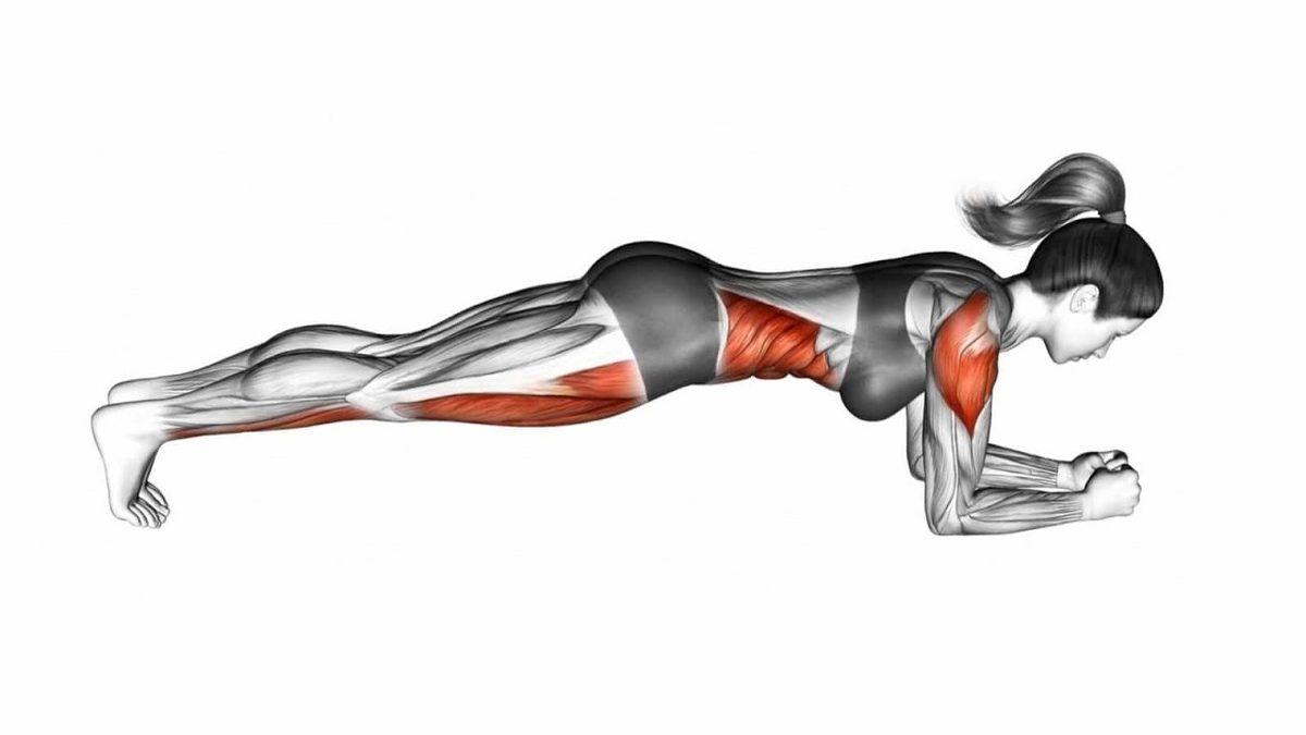 Yaparken 1 Saniyenin 1 Saat Gibi Geldiği Ancak Faydaları Saymakla Bitmeyen Egzersiz: Plank Hareketi Nedir, Nasıl Yapılır?