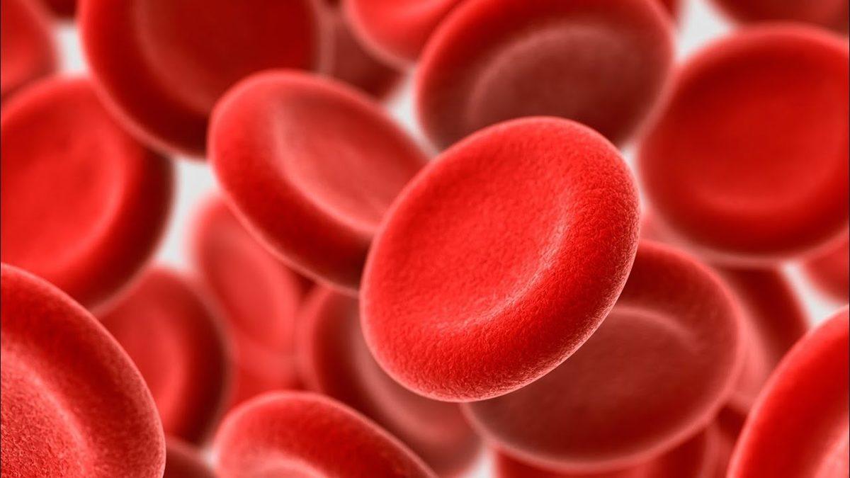 Vücudumuzda Oksijeni Taşımakla Görevli ’Hemoglobin’ Nedir, Normal Değeri Kaç Olmalı?
