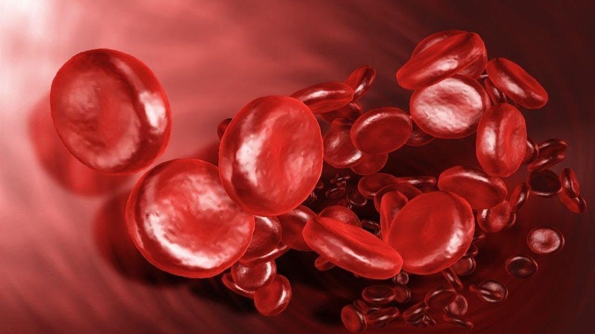 Vücudumuzda Oksijeni Taşımakla Görevli ’Hemoglobin’ Nedir, Normal Değeri Kaç Olmalı?