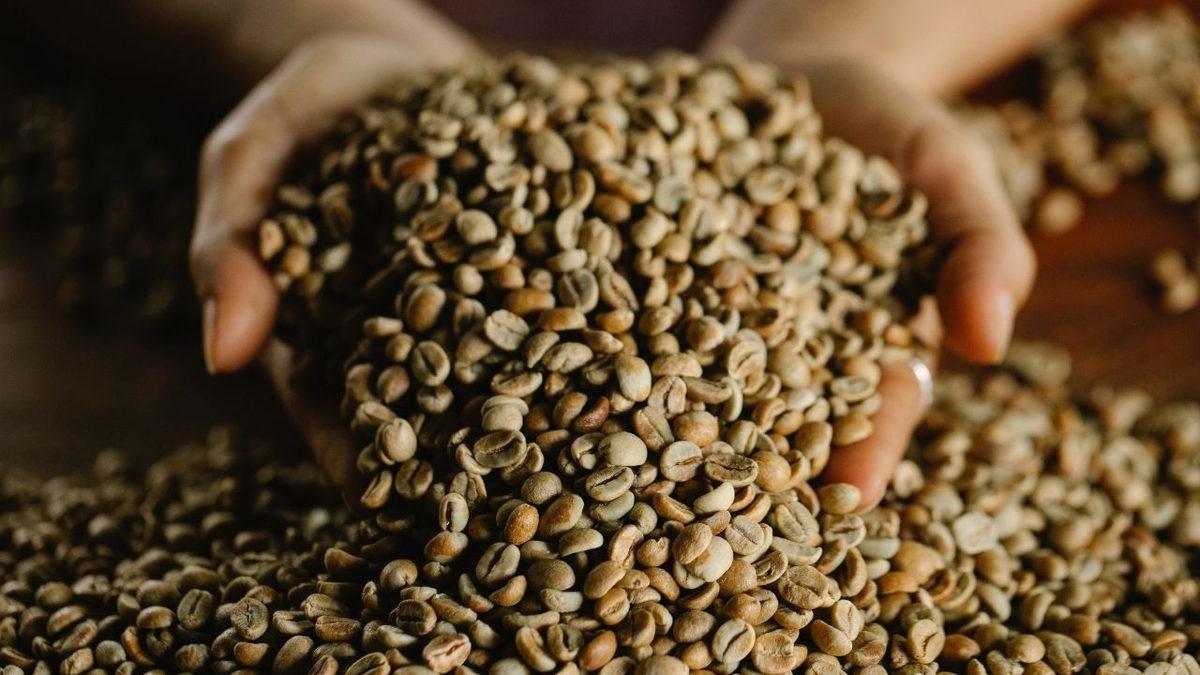 Elinizdeki Kahvenin Tadını Çıkarın Çünkü Kahvenin Hasını İçen Son Nesil Biz Olabiliriz! Peki Neden?