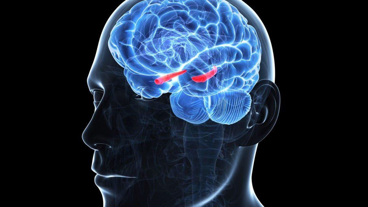 Tartışmaya Noktayı Koyuyoruz: Kadınlar mı Daha İyi Araba Kullanır, Erkekler mi?