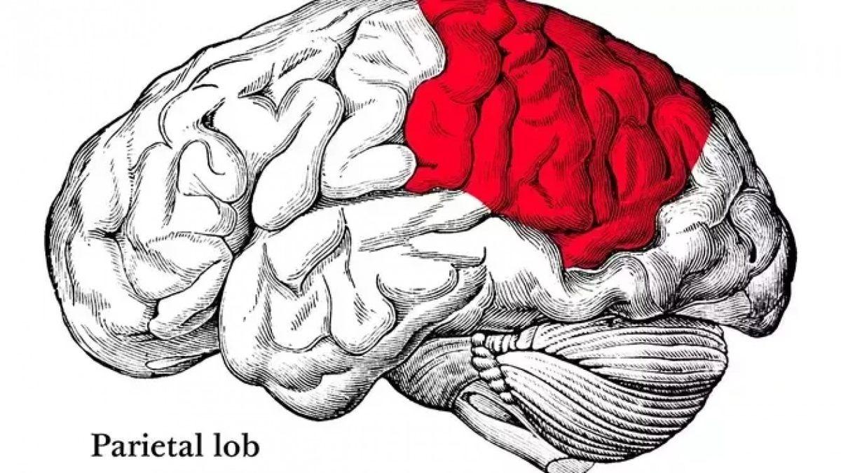 Tartışmaya Noktayı Koyuyoruz: Kadınlar mı Daha İyi Araba Kullanır, Erkekler mi?