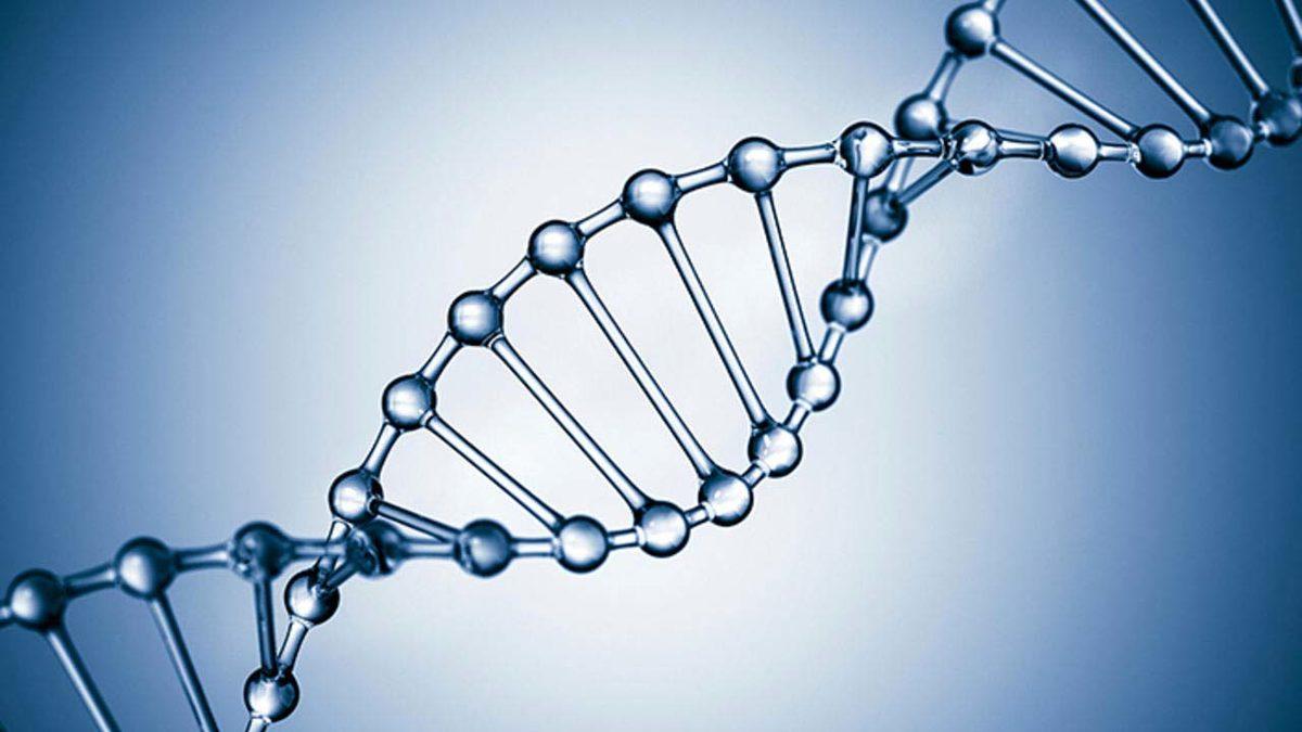 İnsanlığın Halen Evrimleşmeye Devam Ettiği Bilimsel Olarak Kanıtlandı