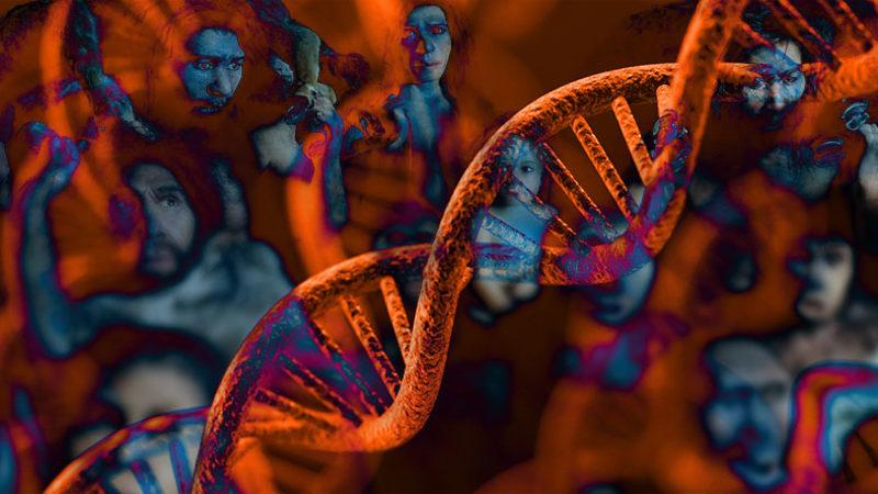 İnsanlığın Halen Evrimleşmeye Devam Ettiği Bilimsel Olarak Kanıtlandı