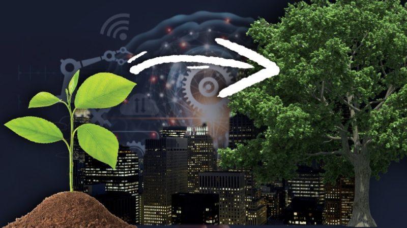 Bakanlık, Yurt Dışına Açılacak Girişimlere 50 Bin Dolar Destek Vereceğini Açıkladı [Hemen Başvurabilirsiniz]