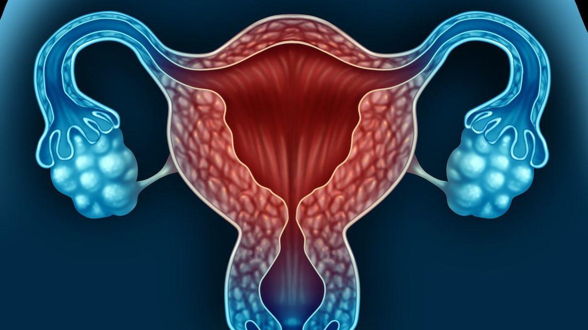 Kadınlarda Adet Döngüsünü Düzenleyen Östrojen Formu Estradiol (E2) Nedir, Kaç Olmalı?