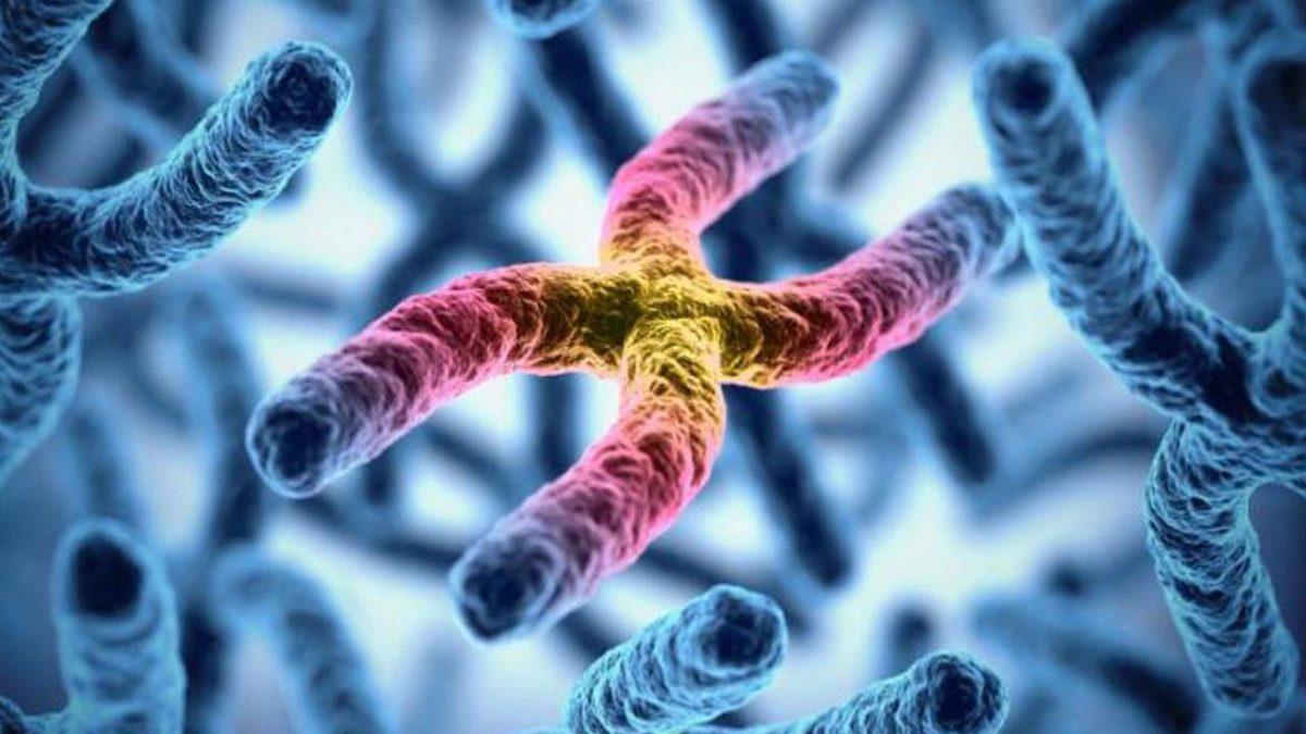 Çocuğunuz Daha Doğmadan SMA ve Down Sendromu Teşhisi Mümkün: Peki Hangi Testleri Yaptırmak Gerekiyor?