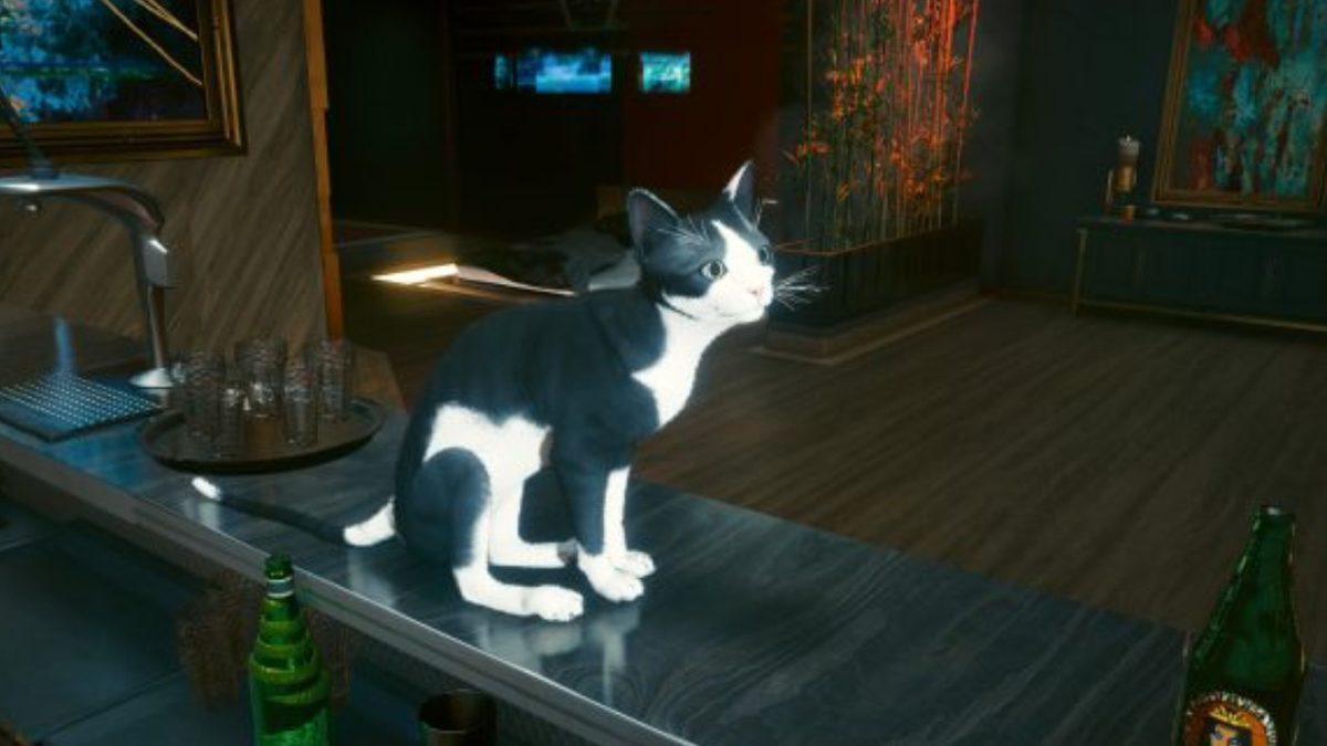 Cyberpunk 2077’yi Kediler İstila Etti: Oyunu Kedi Cennetine Çeviren Modlar Yayınlandı