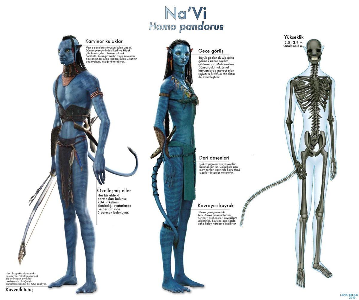 Avatar Filminin Bilimle Ters Düşen Taraflarını Açıkladık: Tahmin Ettiğinizden Çok Daha Fazla!