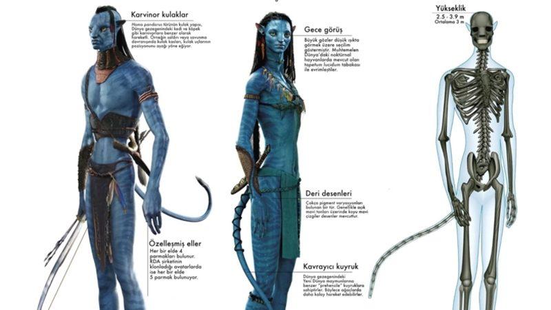 Avatar Filminin Bilimle Ters Düşen Taraflarını Açıkladık: Tahmin Ettiğinizden Çok Daha Fazla!