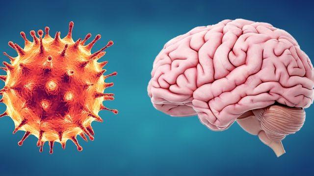Bilim İnsanları COVID-19’un İnsan Beynine Olan Etkisini Araştırdı: Durum Ciddi