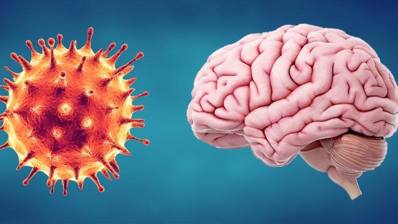 Bilim İnsanları COVID-19’un İnsan Beynine Olan Etkisini Araştırdı: Durum Ciddi