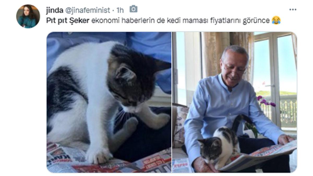 Cumhurbaşkanı Erdoğan’ın ‘Pıt Pıt Şeker’li Paylaşımı, Twitter’da Gündem Oldu: İşte Gelen Tepkiler