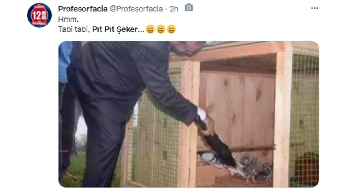 Cumhurbaşkanı Erdoğan’ın ‘Pıt Pıt Şeker’li Paylaşımı, Twitter’da Gündem Oldu: İşte Gelen Tepkiler