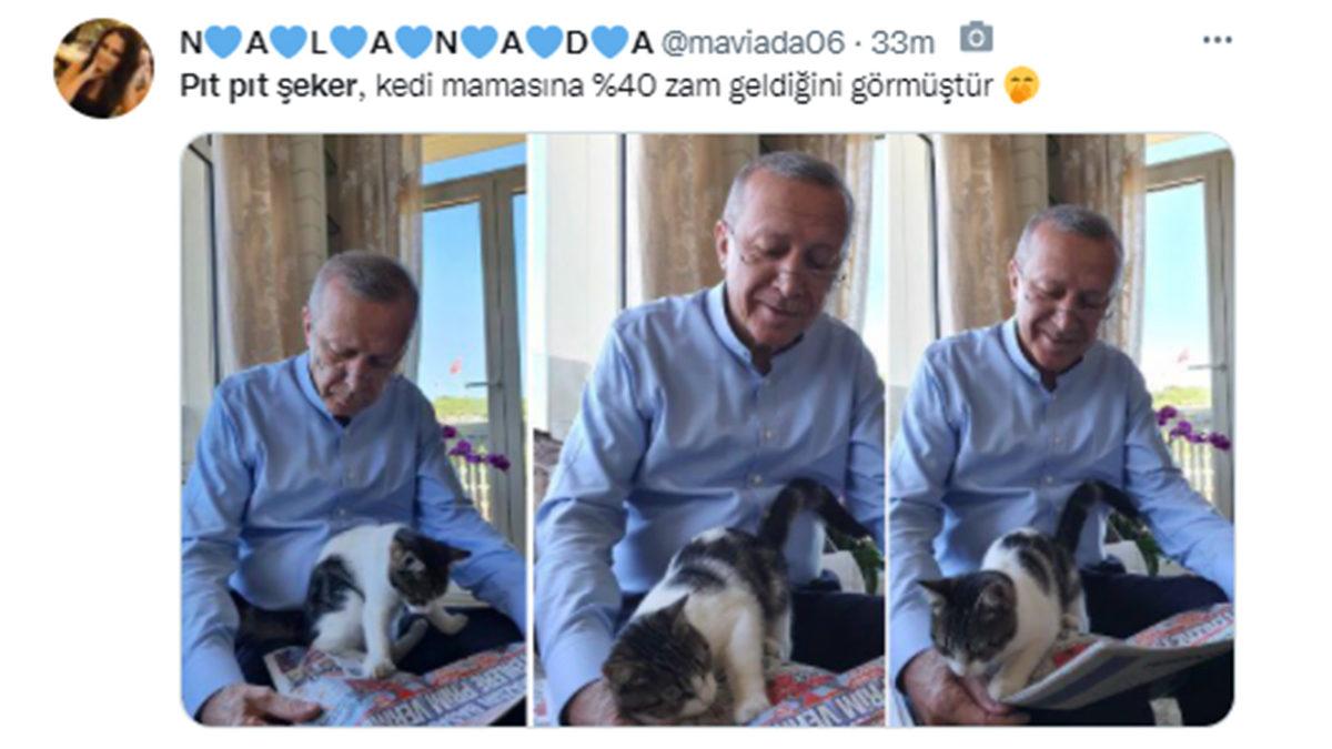 Cumhurbaşkanı Erdoğan’ın ‘Pıt Pıt Şeker’li Paylaşımı, Twitter’da Gündem Oldu: İşte Gelen Tepkiler